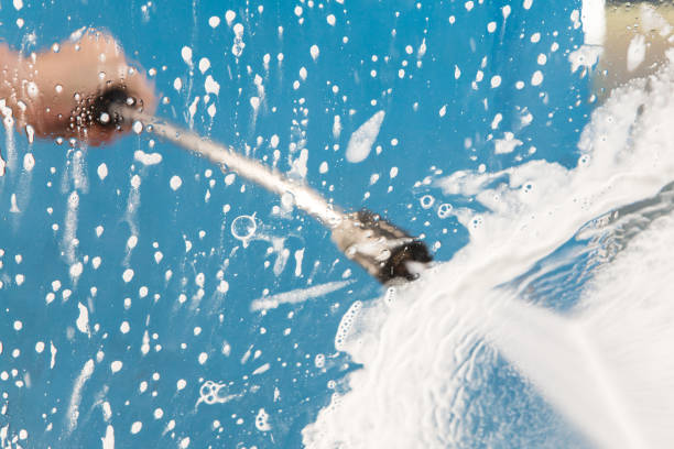 Animal Enclosure Cleaning in Flatwoods, KY